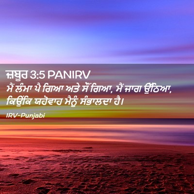 Picture 02 - ਜ਼ਬੂਰ 3:5 PANIRV - ਮੈਂ ਲੰਮਾ ਪੈ ਗਿਆ ਅਤੇ - Bible Verse Picture