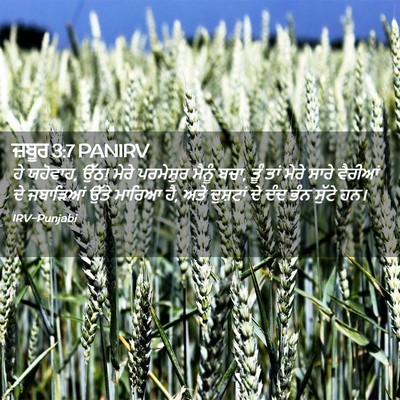 Picture 02 - ਜ਼ਬੂਰ 3:7 PANIRV - ਹੇ ਯਹੋਵਾਹ, ਉੱਠ! - Bible Verse Picture