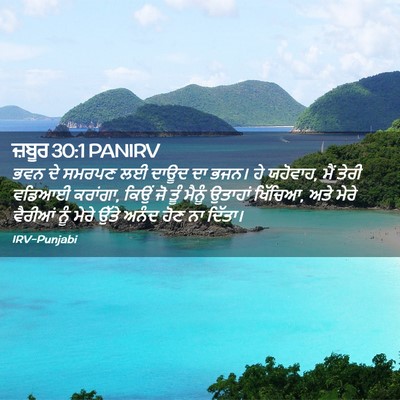Picture 02 - ਜ਼ਬੂਰ 30:1 PANIRV - ਭਵਨ ਦੇ ਸਮਰਪਣ ਲਈ - Bible Verse Picture