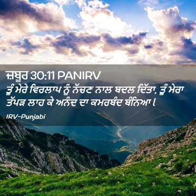 Picture 02 - ਜ਼ਬੂਰ 30:11 PANIRV - ਤੂੰ ਮੇਰੇ ਵਿਰਲਾਪ - Bible Verse Picture
