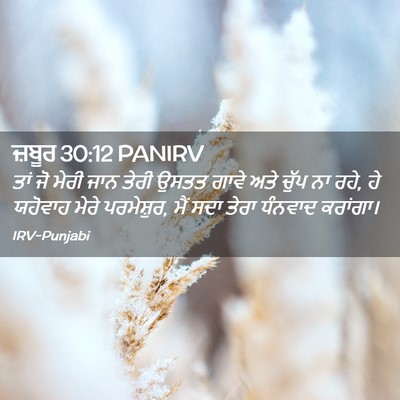 Picture 02 - ਜ਼ਬੂਰ 30:12 PANIRV - ਤਾਂ ਜੋ ਮੇਰੀ ਜਾਨ - Bible Verse Picture