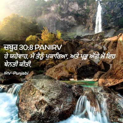 Picture 02 - ਜ਼ਬੂਰ 30:8 PANIRV - ਹੇ ਯਹੋਵਾਹ, ਮੈਂ - Bible Verse Picture
