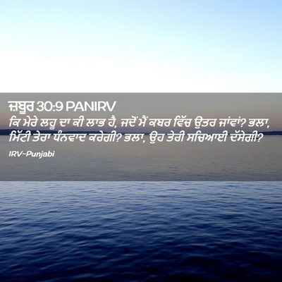 Picture 02 - ਜ਼ਬੂਰ 30:9 PANIRV - ਕਿ ਮੇਰੇ ਲਹੂ ਦਾ ਕੀ - Bible Verse Picture