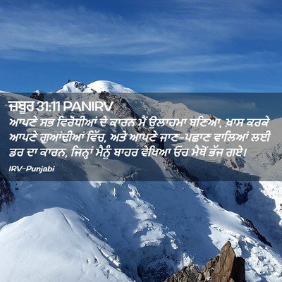 Picture 02 - ਜ਼ਬੂਰ 31:11 PANIRV - ਆਪਣੇ ਸਭ ਵਿਰੋਧੀਆਂ - Bible Verse Picture
