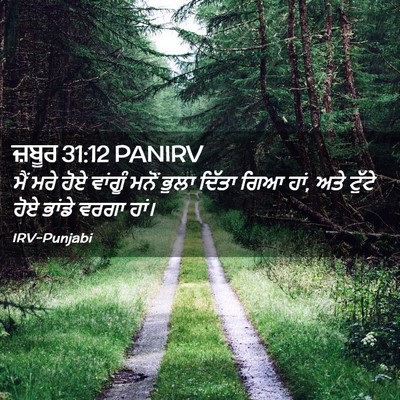 Picture 02 - ਜ਼ਬੂਰ 31:12 PANIRV - ਮੈਂ ਮਰੇ ਹੋਏ ਵਾਂਗੂੰ - Bible Verse Picture