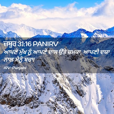 Picture 02 - ਜ਼ਬੂਰ 31:16 PANIRV - ਆਪਣੇ ਮੁੱਖ ਨੂੰ ਆਪਣੇ - Bible Verse Picture