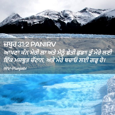 Picture 02 - ਜ਼ਬੂਰ 31:2 PANIRV - ਆਪਣਾ ਕੰਨ ਮੇਰੀ ਲਾ - Bible Verse Picture