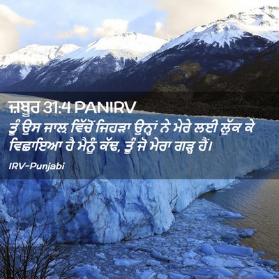 Picture 02 - ਜ਼ਬੂਰ 31:4 PANIRV - ਤੂੰ ਉਸ ਜਾਲ਼ ਵਿੱਚੋਂ - Bible Verse Picture