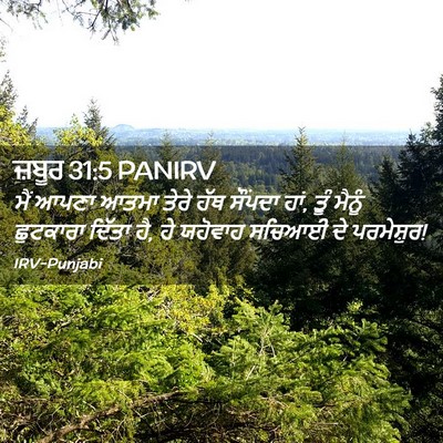 Picture 02 - ਜ਼ਬੂਰ 31:5 PANIRV - ਮੈਂ ਆਪਣਾ ਆਤਮਾ ਤੇਰੇ - Bible Verse Picture