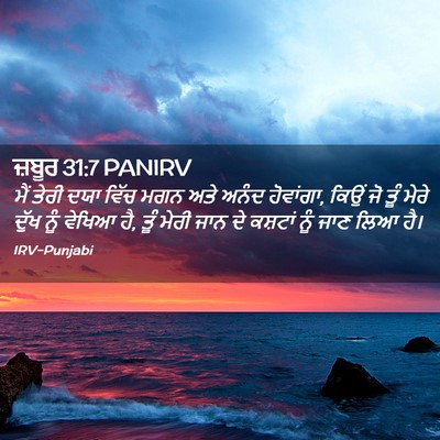 Picture 02 - ਜ਼ਬੂਰ 31:7 PANIRV - ਮੈਂ ਤੇਰੀ ਦਯਾ ਵਿੱਚ - Bible Verse Picture