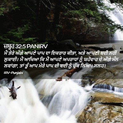 Picture 02 - ਜ਼ਬੂਰ 32:5 PANIRV - ਮੈਂ ਤੇਰੇ ਅੱਗੇ ਆਪਣੇ - Bible Verse Picture