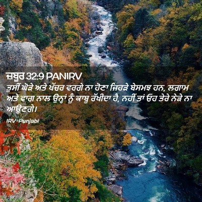 Picture 02 - ਜ਼ਬੂਰ 32:9 PANIRV - ਤੁਸੀਂ ਘੋੜੇ ਅਤੇ - Bible Verse Picture