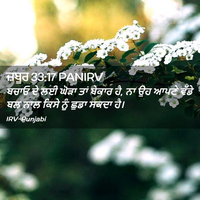 Picture 02 - ਜ਼ਬੂਰ 33:17 PANIRV - ਬਚਾਓ ਦੇ ਲਈ ਘੋੜਾ ਤਾਂ - Bible Verse Picture
