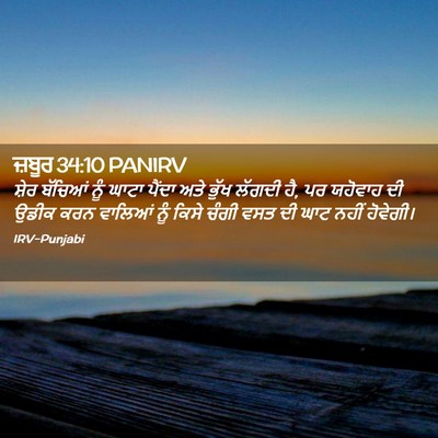 Picture 02 - ਜ਼ਬੂਰ 34:10 PANIRV - ਸ਼ੇਰ ਬੱਚਿਆਂ ਨੂੰ - Bible Verse Picture