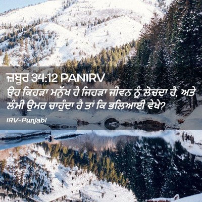 Picture 02 - ਜ਼ਬੂਰ 34:12 PANIRV - ਉਹ ਕਿਹੜਾ ਮਨੁੱਖ ਹੈ - Bible Verse Picture