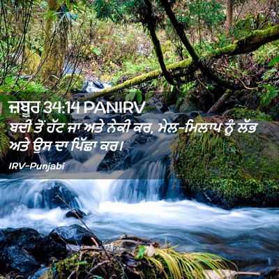 Picture 02 - ਜ਼ਬੂਰ 34:14 PANIRV - ਬਦੀ ਤੋਂ ਹੱਟ ਜਾ ਅਤੇ - Bible Verse Picture