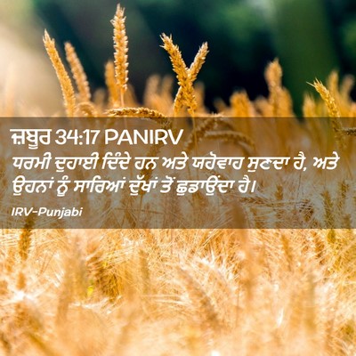 Picture 02 - ਜ਼ਬੂਰ 34:17 PANIRV - ਧਰਮੀ ਦੁਹਾਈ ਦਿੰਦੇ - Bible Verse Picture