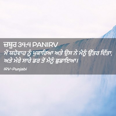 Picture 02 - ਜ਼ਬੂਰ 34:4 PANIRV - ਮੈਂ ਯਹੋਵਾਹ ਨੂੰ - Bible Verse Picture