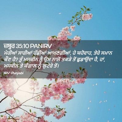 Picture 02 - ਜ਼ਬੂਰ 35:10 PANIRV - ਮੇਰੀਆਂ ਸਾਰੀਆਂ - Bible Verse Picture