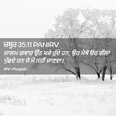 Picture 02 - ਜ਼ਬੂਰ 35:11 PANIRV - ਜ਼ਾਲਮ ਗਵਾਹ ਉੱਠ ਖੜੇ - Bible Verse Picture