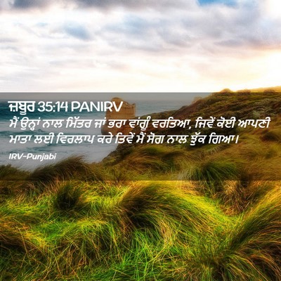 Picture 02 - ਜ਼ਬੂਰ 35:14 PANIRV - ਮੈਂ ਉਨ੍ਹਾਂ ਨਾਲ - Bible Verse Picture