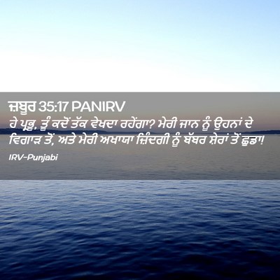 Picture 02 - ਜ਼ਬੂਰ 35:17 PANIRV - ਹੇ ਪ੍ਰਭੂ, ਤੂੰ ਕਦੋਂ - Bible Verse Picture