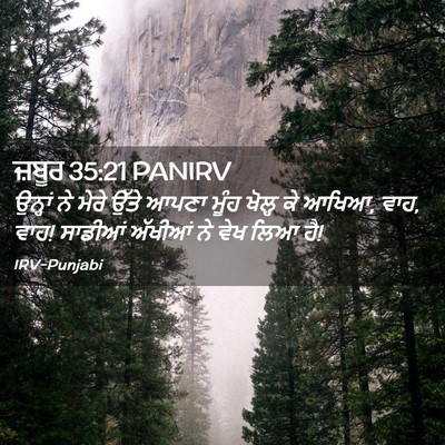Picture 02 - ਜ਼ਬੂਰ 35:21 PANIRV - ਉਨ੍ਹਾਂ ਨੇ ਮੇਰੇ - Bible Verse Picture