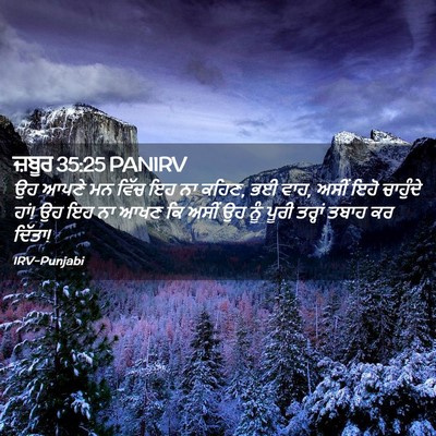 Picture 02 - ਜ਼ਬੂਰ 35:25 PANIRV - ਉਹ ਆਪਣੇ ਮਨ ਵਿੱਚ ਇਹ - Bible Verse Picture