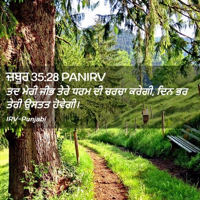 Picture 02 - ਜ਼ਬੂਰ 35:28 PANIRV - ਤਦ ਮੇਰੀ ਜੀਭ ਤੇਰੇ - Bible Verse Picture