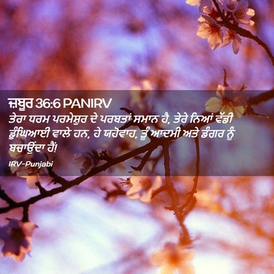 Picture 02 - ਜ਼ਬੂਰ 36:6 PANIRV - ਤੇਰਾ ਧਰਮ ਪਰਮੇਸ਼ੁਰ - Bible Verse Picture