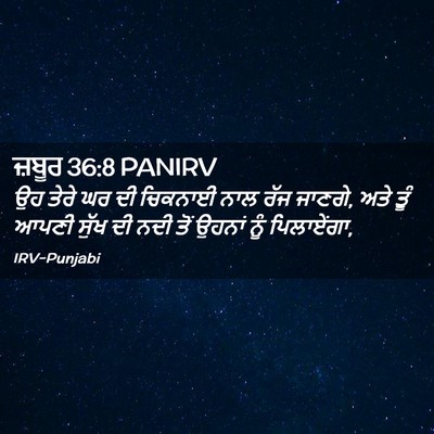 Picture 02 - ਜ਼ਬੂਰ 36:8 PANIRV - ਉਹ ਤੇਰੇ ਘਰ ਦੀ - Bible Verse Picture