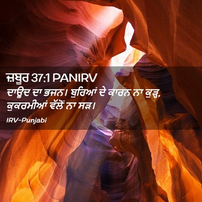 Picture 02 - ਜ਼ਬੂਰ 37:1 PANIRV - ਦਾਊਦ ਦਾ ਭਜਨ। - Bible Verse Picture