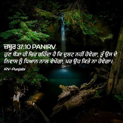 Picture 02 - ਜ਼ਬੂਰ 37:10 PANIRV - ਹੁਣ ਥੋੜਾ ਹੀ ਚਿਰ - Bible Verse Picture