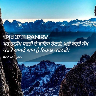 Picture 02 - ਜ਼ਬੂਰ 37:11 PANIRV - ਪਰ ਹਲੀਮ ਧਰਤੀ ਦੇ - Bible Verse Picture
