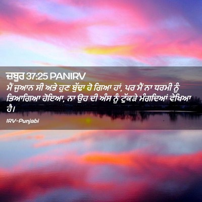 Picture 02 - ਜ਼ਬੂਰ 37:25 PANIRV - ਮੈਂ ਜੁਆਨ ਸੀ ਅਤੇ ਹੁਣ - Bible Verse Picture