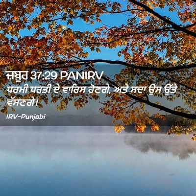 Picture 02 - ਜ਼ਬੂਰ 37:29 PANIRV - ਧਰਮੀ ਧਰਤੀ ਦੇ ਵਾਰਿਸ - Bible Verse Picture
