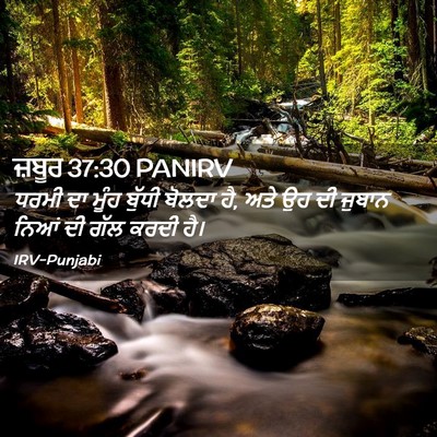 Picture 02 - ਜ਼ਬੂਰ 37:30 PANIRV - ਧਰਮੀ ਦਾ ਮੂੰਹ ਬੁੱਧੀ - Bible Verse Picture