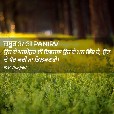 Picture 02 - ਜ਼ਬੂਰ 37:31 PANIRV - ਉਸ ਦੇ ਪਰਮੇਸ਼ੁਰ ਦੀ - Bible Verse Picture