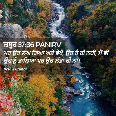 Picture 02 - ਜ਼ਬੂਰ 37:36 PANIRV - ਪਰ ਉਹ ਲੰਘ ਗਿਆ ਅਤੇ - Bible Verse Picture