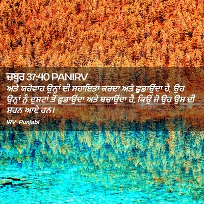 Picture 02 - ਜ਼ਬੂਰ 37:40 PANIRV - ਅਤੇ ਯਹੋਵਾਹ ਉਨ੍ਹਾਂ - Bible Verse Picture