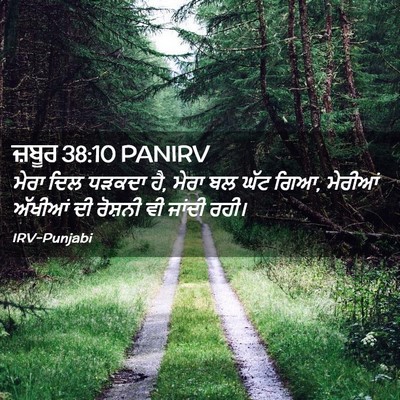 Picture 02 - ਜ਼ਬੂਰ 38:10 PANIRV - ਮੇਰਾ ਦਿਲ ਧੜਕਦਾ ਹੈ, - Bible Verse Picture