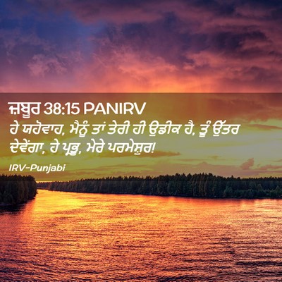 Picture 02 - ਜ਼ਬੂਰ 38:15 PANIRV - ਹੇ ਯਹੋਵਾਹ, ਮੈਨੂੰ - Bible Verse Picture