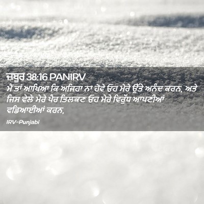 Picture 02 - ਜ਼ਬੂਰ 38:16 PANIRV - ਮੈਂ ਤਾਂ ਆਖਿਆ ਕਿ - Bible Verse Picture