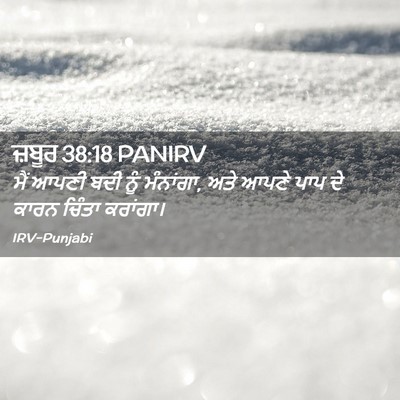 Picture 02 - ਜ਼ਬੂਰ 38:18 PANIRV - ਮੈਂ ਆਪਣੀ ਬਦੀ ਨੂੰ - Bible Verse Picture