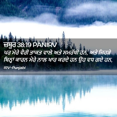 Picture 02 - ਜ਼ਬੂਰ 38:19 PANIRV - ਪਰ ਮੇਰੇ ਵੈਰੀ ਤਾਕਤ - Bible Verse Picture