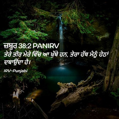 Picture 02 - ਜ਼ਬੂਰ 38:2 PANIRV - ਤੇਰੇ ਤੀਰ ਮੇਰੇ ਵਿੱਚ - Bible Verse Picture