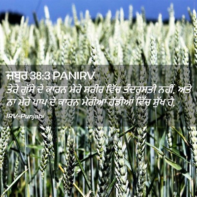 Picture 02 - ਜ਼ਬੂਰ 38:3 PANIRV - ਤੇਰੇ ਗੁੱਸੇ ਦੇ ਕਾਰਨ - Bible Verse Picture
