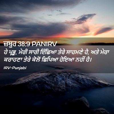 Picture 02 - ਜ਼ਬੂਰ 38:9 PANIRV - ਹੇ ਪ੍ਰਭੂ, ਮੇਰੀ ਸਾਰੀ - Bible Verse Picture