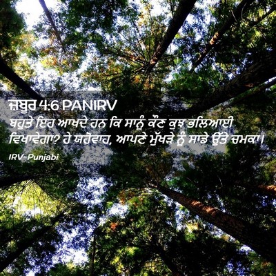 Picture 02 - ਜ਼ਬੂਰ 4:6 PANIRV - ਬਹੁਤੇ ਇਹ ਆਖਦੇ ਹਨ ਕਿ - Bible Verse Picture