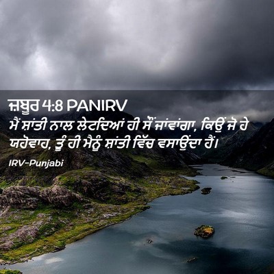 Picture 02 - ਜ਼ਬੂਰ 4:8 PANIRV - ਮੈਂ ਸ਼ਾਂਤੀ ਨਾਲ - Bible Verse Picture
